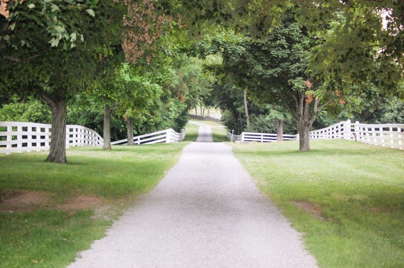 Driveway