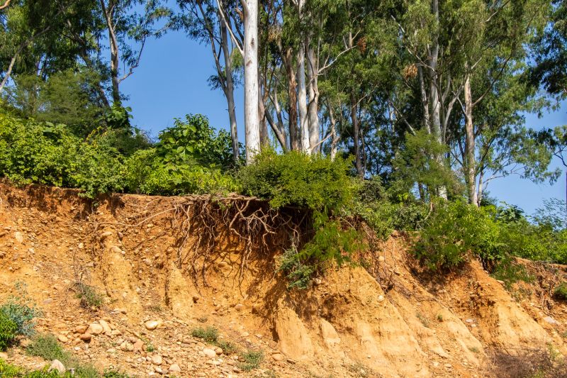 Erosion Repair