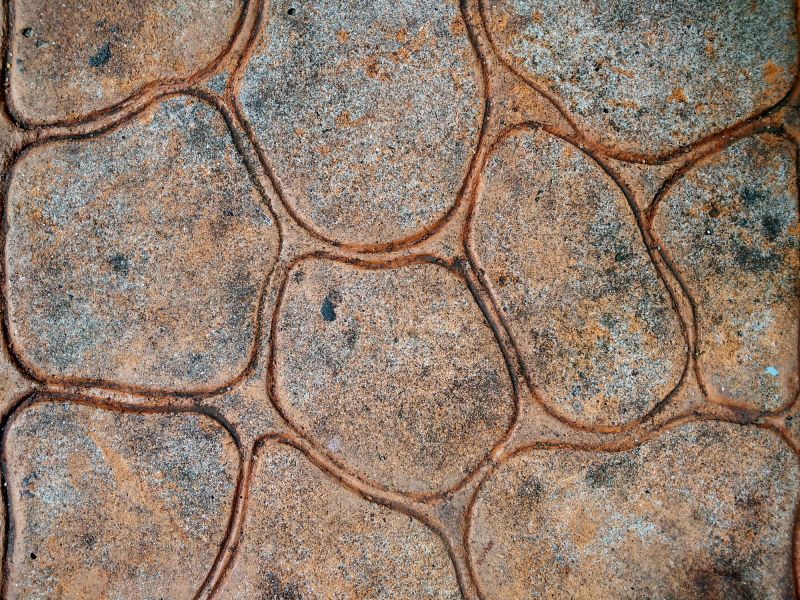 Stamped Concrete Specialists